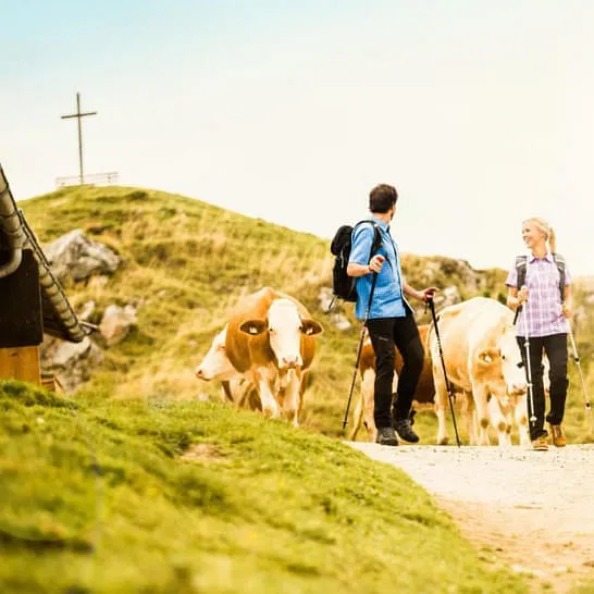 Wandern Wandern